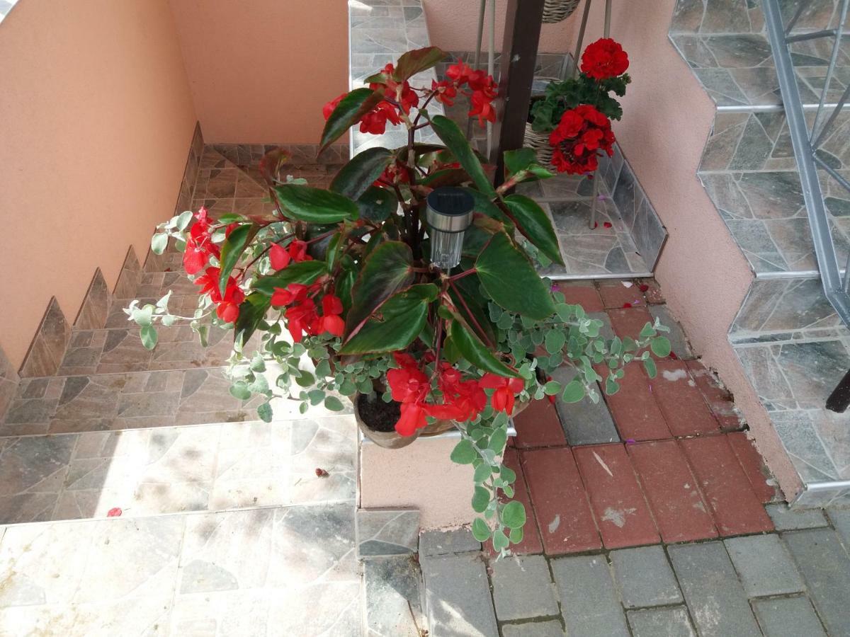 Beata Vendeghaz Ξενοδοχείο Tokaj Εξωτερικό φωτογραφία